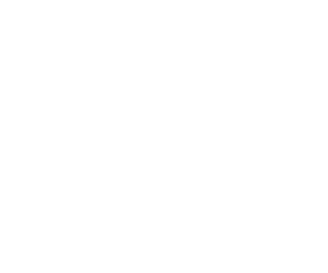 Efendi Partner